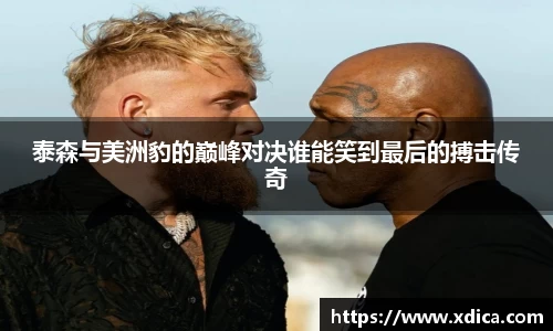 买球泰森与美洲豹的巅峰对决谁能笑到最后的搏击传奇